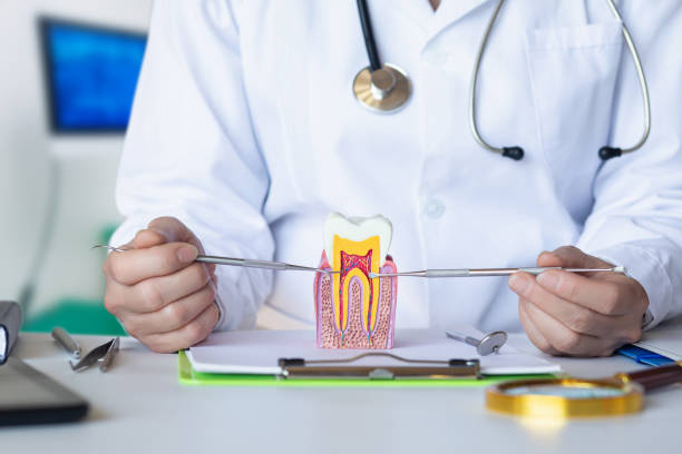 Best Emergency Root Canal Therapy in Falls Creek, PA